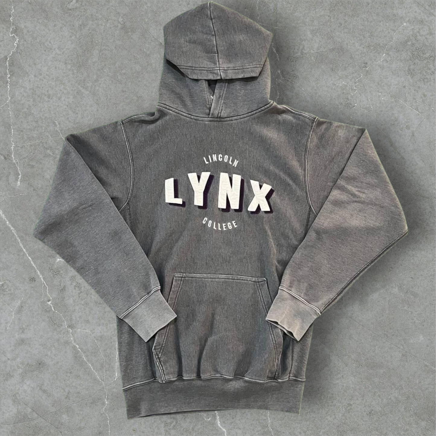 Felpa vintage Lynx Lincoln College Vintage Dressing