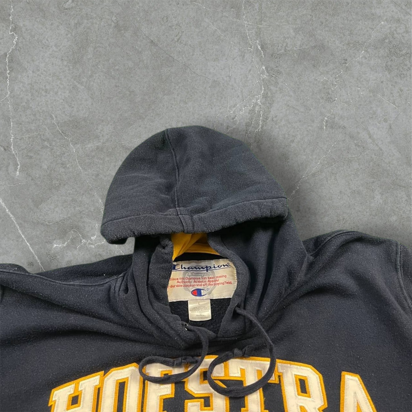 Felpa vintage Champion Hofstra University Champion