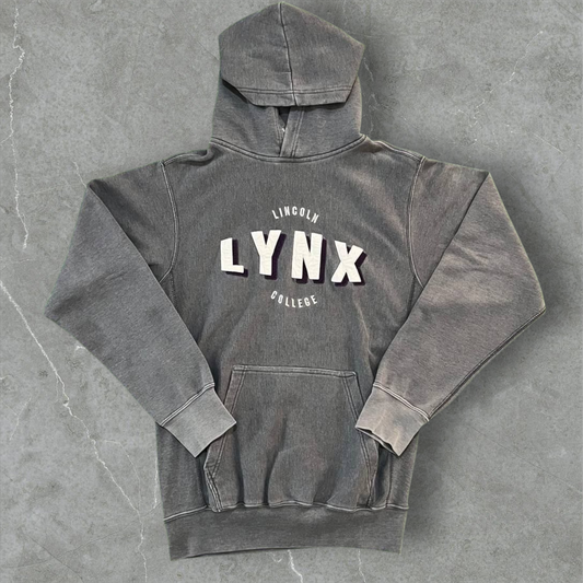Felpa vintage Lynx Lincoln College Vintage Dressing